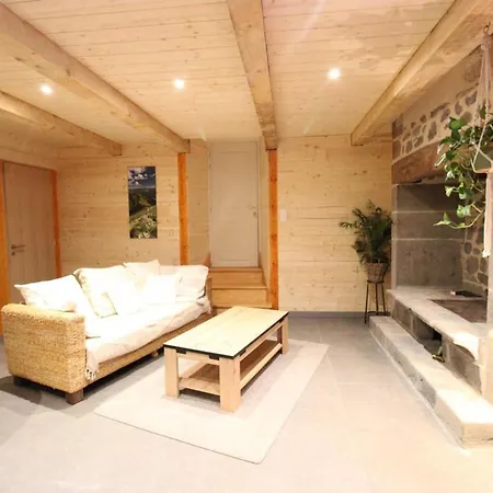 Maison Renovee, Proche Station Super-lioran, 3 Chambres, Inclus, Animaux Acceptes. - Fr-1-742-474